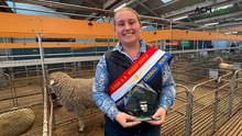 Nerissa James claims top honours at 2026 SA Sheep Expo