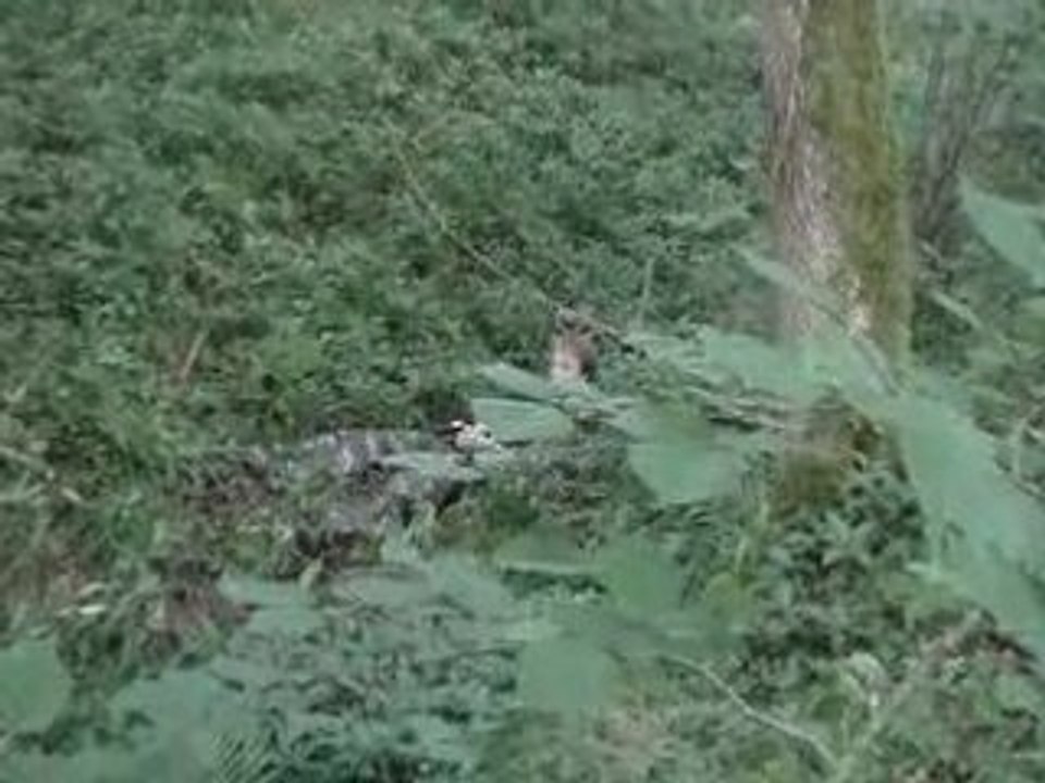 MOV01885