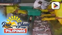 DTI, nakikipag-ugnayan na sa sardine manufacturers para talakayin ang epekto ng energy emergency sa produksyon ng sardinas