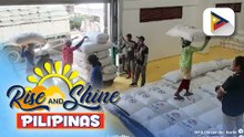 Buying price ng palay mula sa mga lokal na magsasaka, itinaas ng NFA sa P26-P30/kg