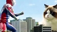 Michi vs ultraman