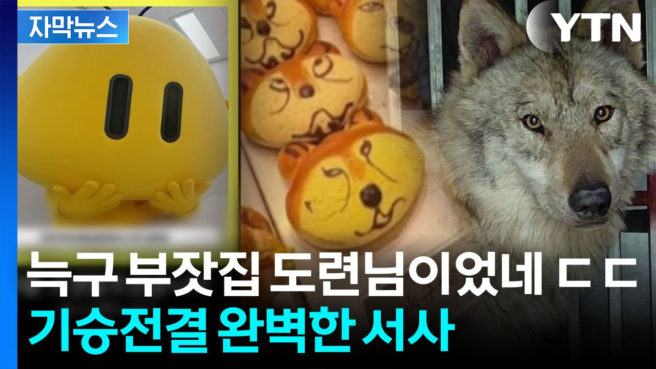 [자막뉴스] '온 대전이 늑구야'...'한화늑구스' 이어 '늑구빵'까지 인기 폭발 /...