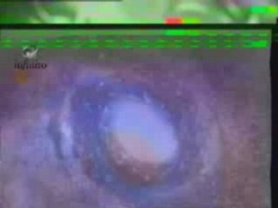 Ojo_de_Horus_capitulo_10_1