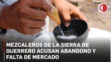 Mezcaleros de la Sierra de Guerrero acusan abandono y falta de mercado