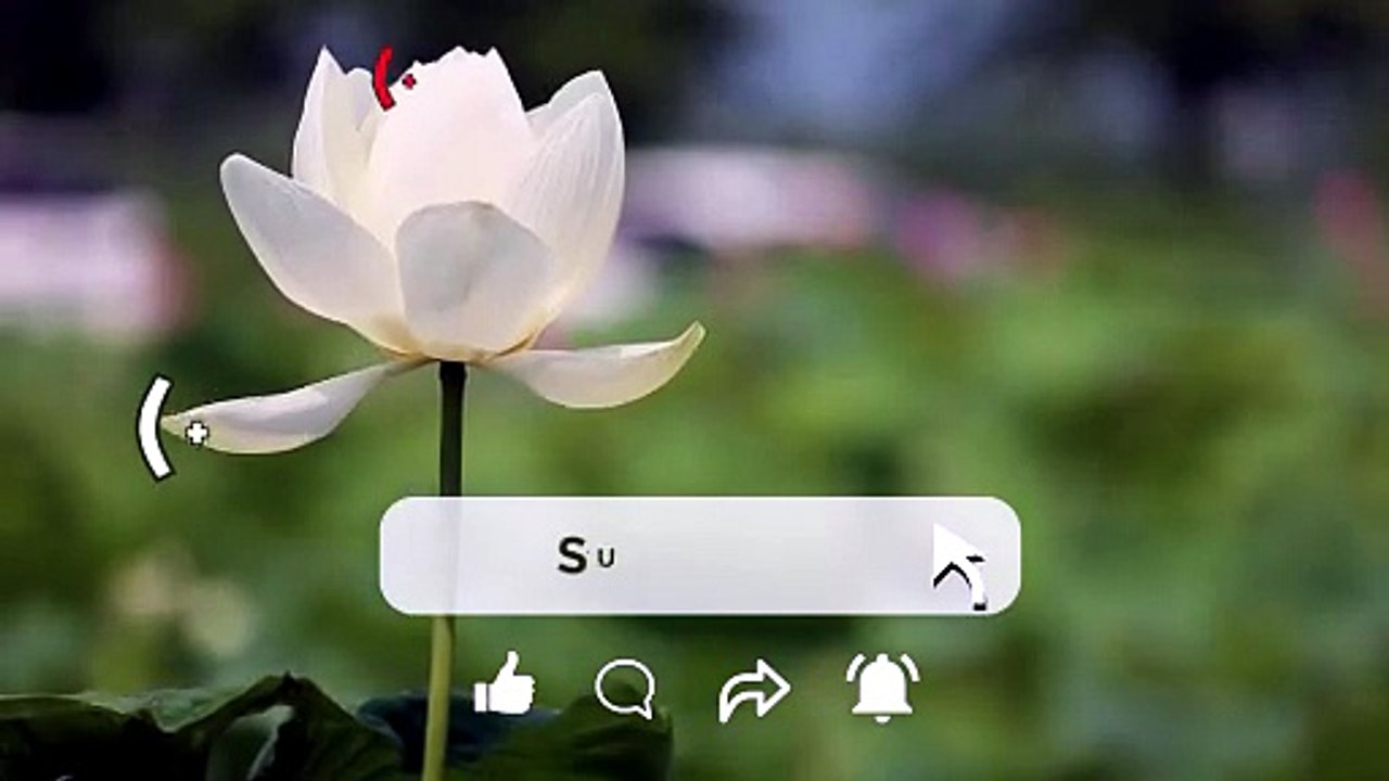 CoMpLetE LisT of OFFicial CoinBase Login Support™️Contact Numbers USA(+1-858⭌355⭌4955)
