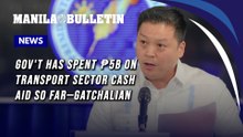 Gov't has spent P5B on transport sector cash aid so far—Gatchalian