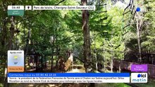 20/04/2026 - ici matin par ici Bourgogne en vidéo