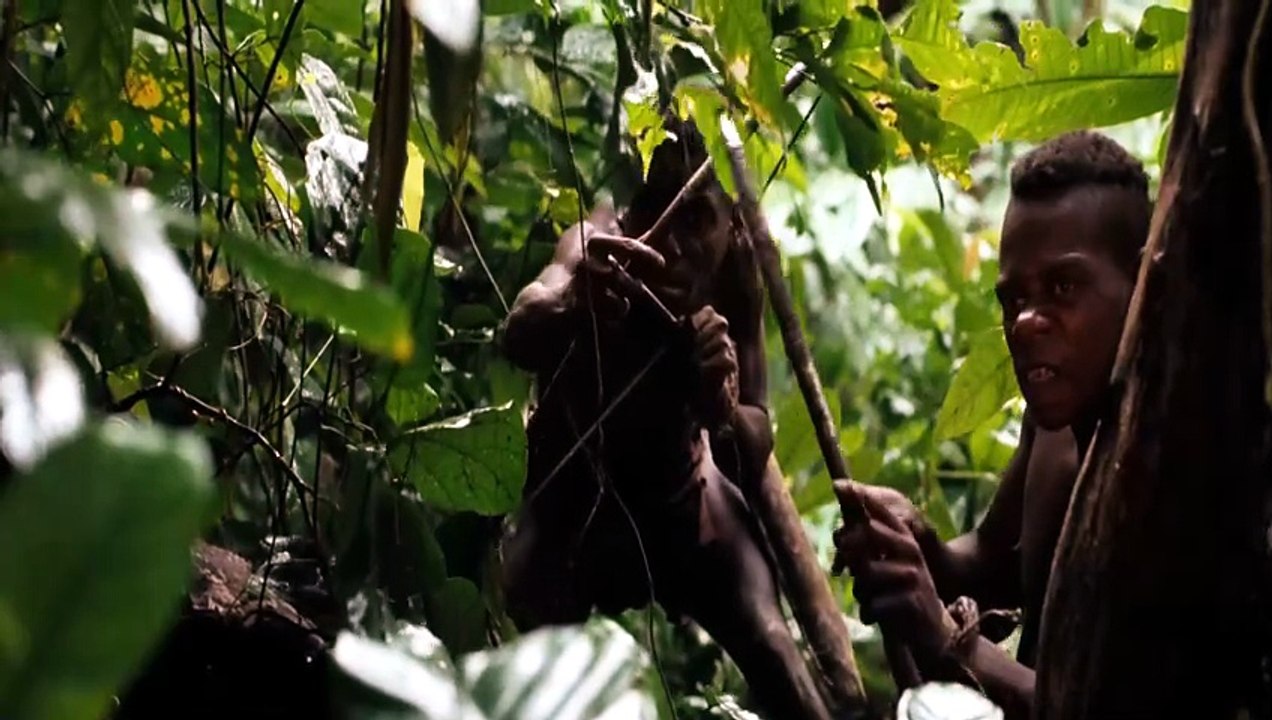 Greystoke – Die Legende von Tarzan, Herr der Affen 1/2