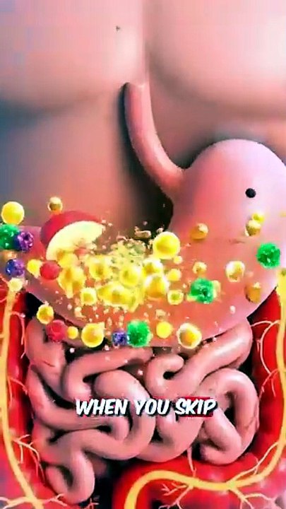what happened inside your body when you take junk food, 3d anatomical heath tips