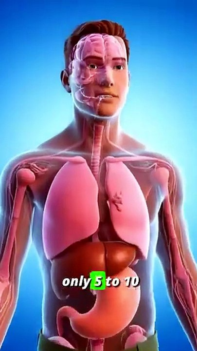 what happened inside your body 3d anatomical