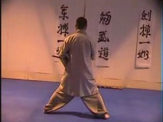 AEVB - Stage avec Maitre Kim Sang Tae