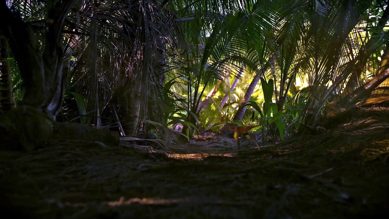 Watch The Dinosaurs Season 1 Episode 1 Full Episode HD Online 2026