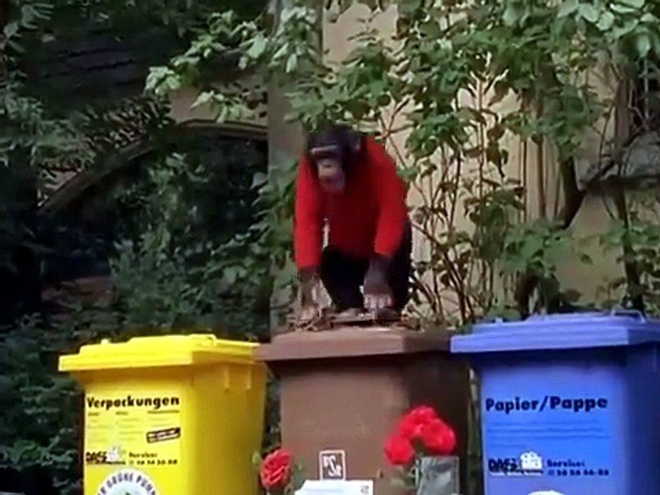 Unser Charly S03E11-Ein Schwein namens Lore