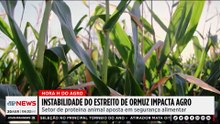 Mariana Grilli: Instabilidade no Estreito de Hormuz traz incerteza para o agro