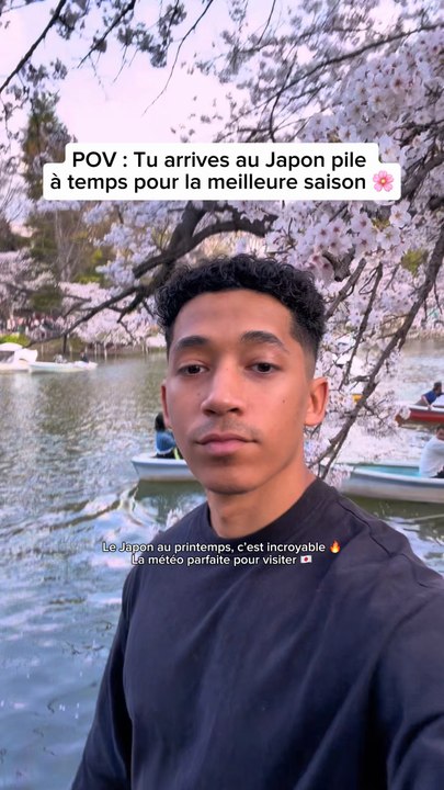 Petit récap de la visite de mes spots favoris à Tokyo pour voir des cerisiers 🌸 La période des Sakuras est assez courte mais ça vaut vraiment le coup de venir au Japon à ce moment là 😍🔥#sakurablossom #tokyo #japan #saison