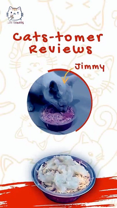 Billi Treats Cat Food Review in Karachi 😺 Honest Real User Experience with Jelly Treats