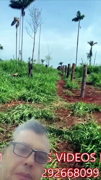 FAZENDA COM 1050 ALQUEIRÃO A VENDA CMC