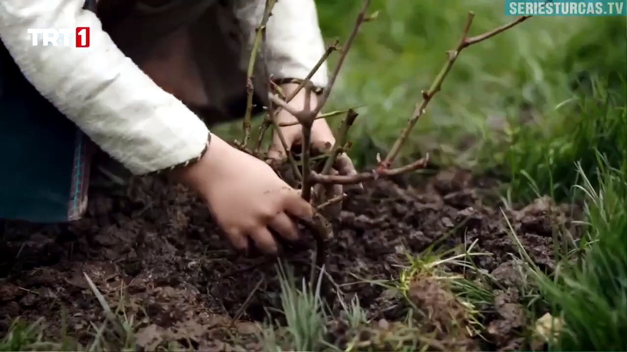 Mehmed Fetihler Sultani Capítulo 7 | Mehmed: El Sultán Conquistador | Novela Turca en Español