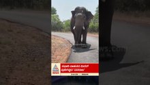ಬನ್ನೇರುಘಟ್ಟದಲ್ಲಿ ಸಾಕಾನೆ ವನರಾಜ ಪುಂಡಾಟ #bannerghatta #vanaraja #elephantattack #wildlifekarnataka
