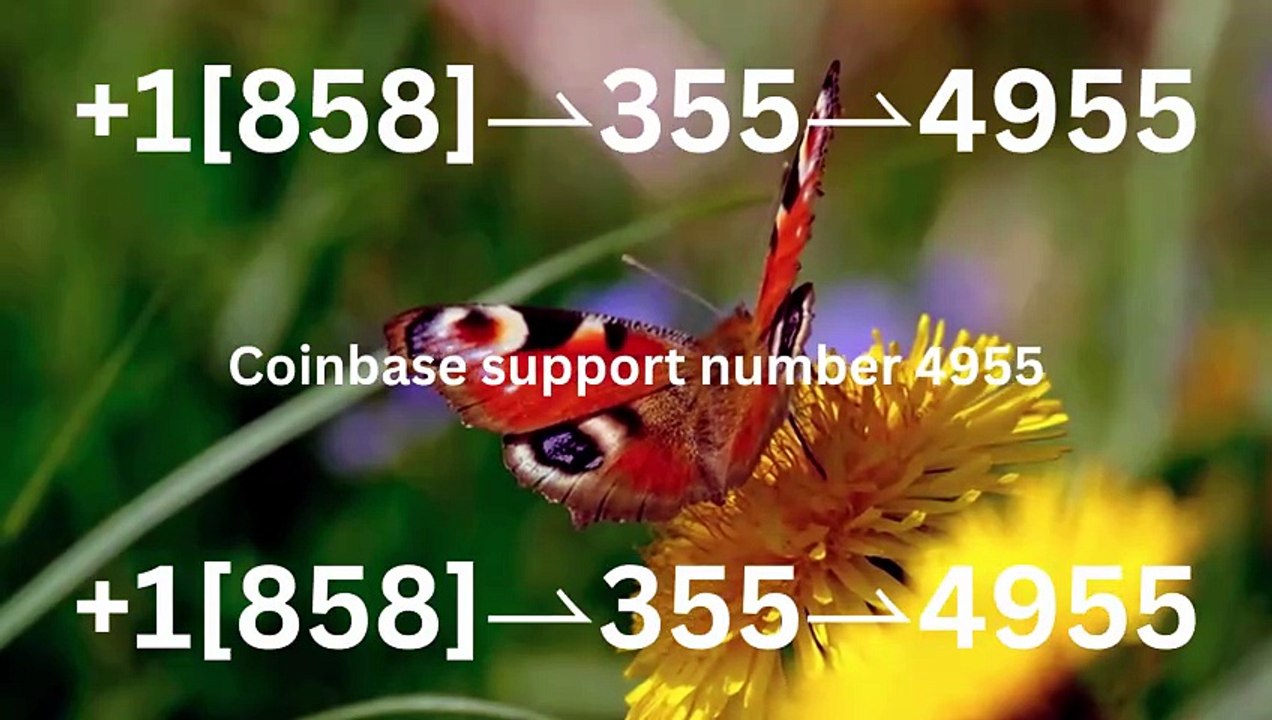Complete List of Official Coinbase Customer Service Number, HELP-DESK Helpline 24/7 Care