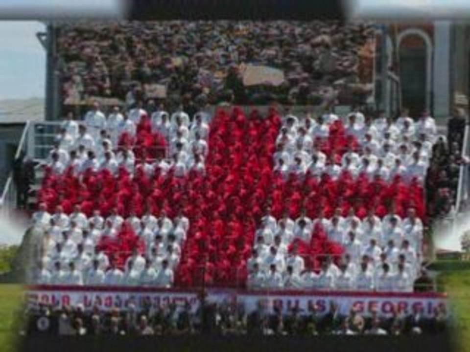 Saqartvelo.  fesvebi