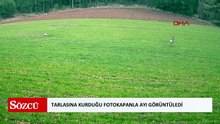 Tarlasına kurduğu fotokapanla ayı görüntüledi