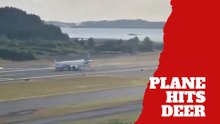 Alaska Airlines plane hits deer during landing in Alaska