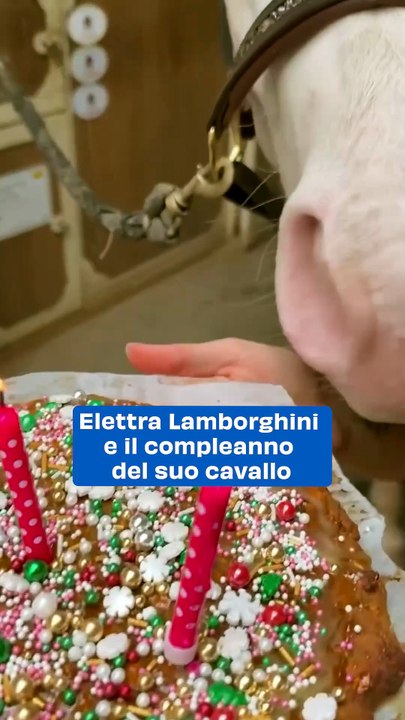 Elettra Lamborghini e il compleanno del suo cavallo