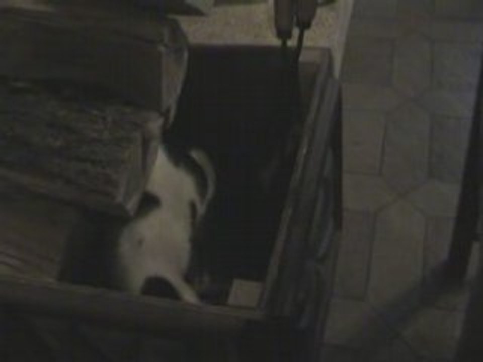 Mookie