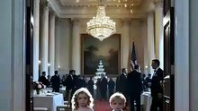 Oops... I Had the President's Wolf Babies #C