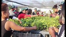 Mini Doc - Direito à Alimentação