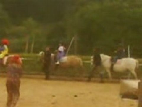 Spectacle des lutins au cheval