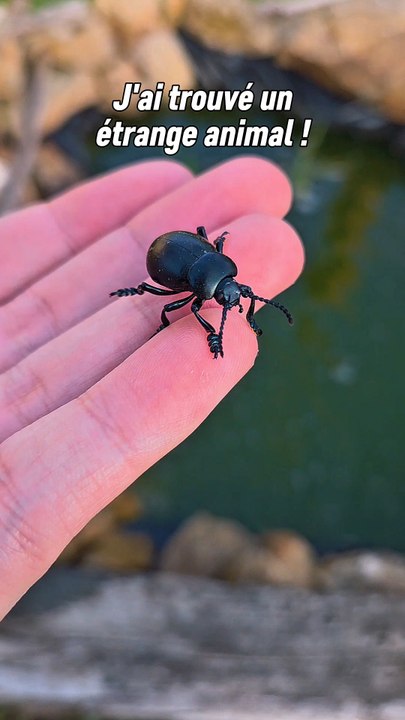 Une petite rencontre qui fait toujours plaisir !Je t'ai appris quelque chose aujourd'hui du coup ? 😁