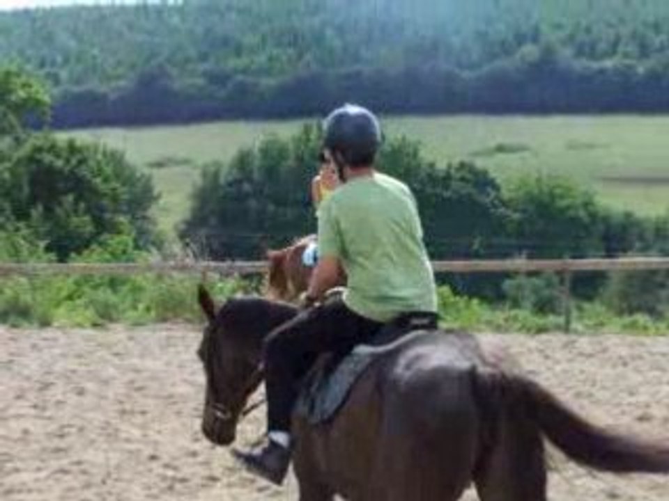 Aurelgalop