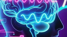 Unglaublich: Dein Gehirn in 3 dramatischen Phasen – Welcher Level bist du? 🧠