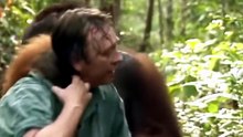 L'orangutan che abbraccia l'uomo: il video dalla giungla che scalda il cuore