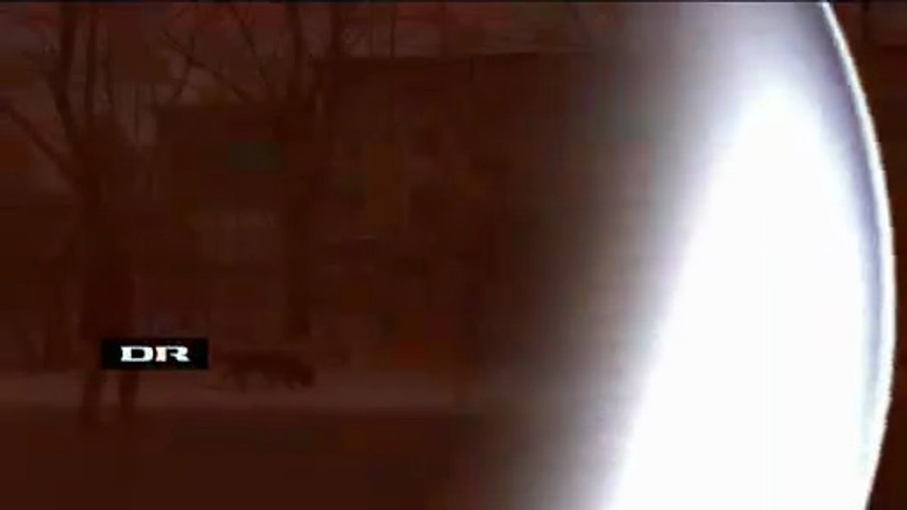 Da Poul sprang ud || 2013 || DR1