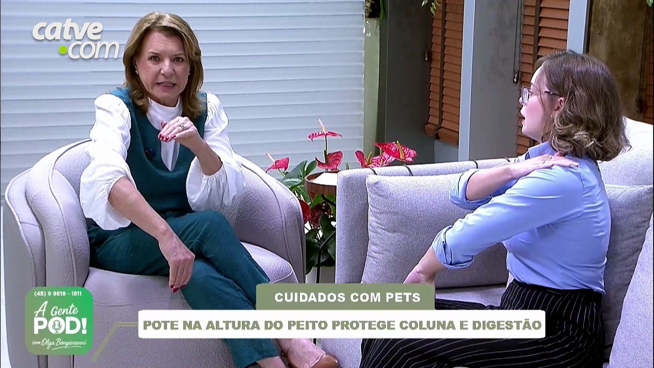 Fisioterapia e ergonomia ajudam a garantir mais saúde e longevidade aos pets