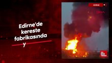 Edirne'de kereste fabrikasında yangın
