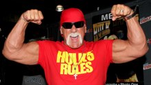 Hulk Hogan helped secure Donald Trump interview for upcoming Netflix documentary