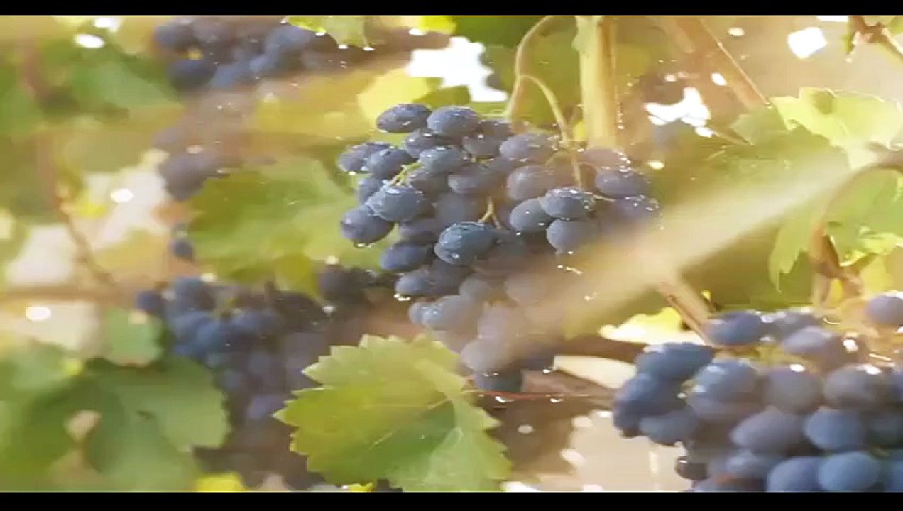 C.o.r.a.z.ó.n.d.e.O.r.o. - Capitulo 13 [Full Movie] [Vertical Drama]Full EP - Full