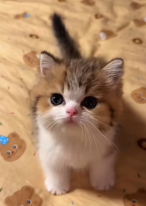 ❤️