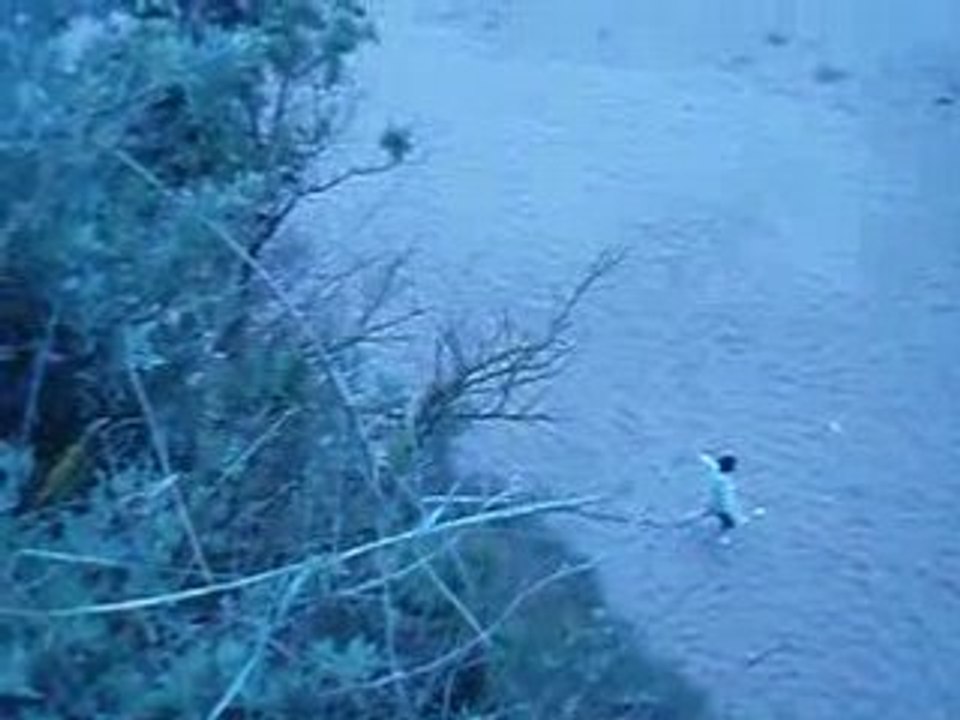 Les Bléreaux xD