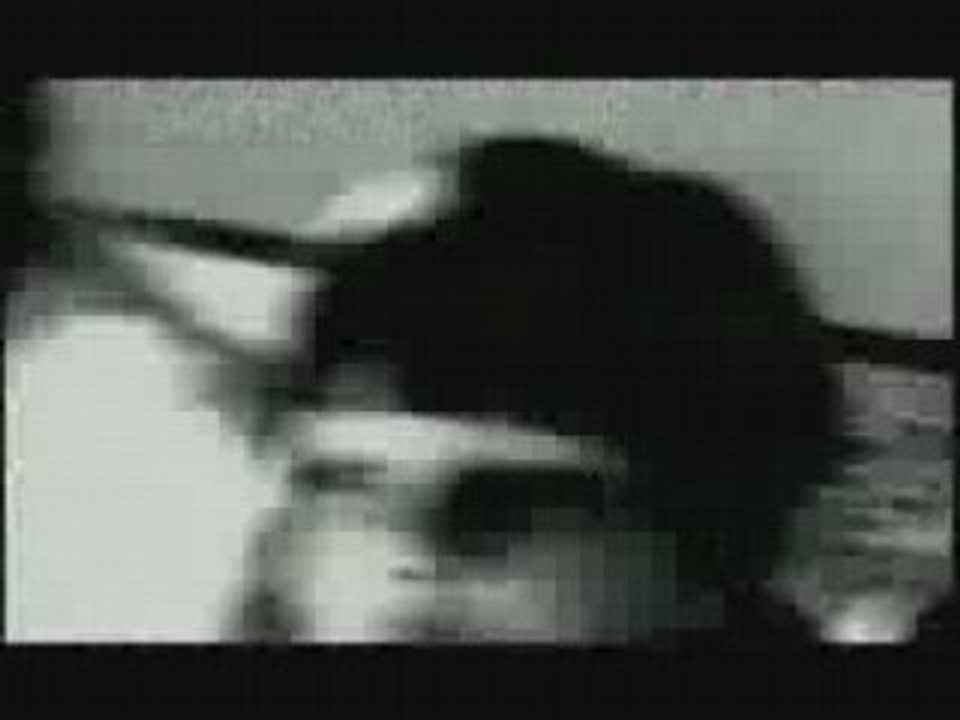 Fausse Pub - Petit écolier
