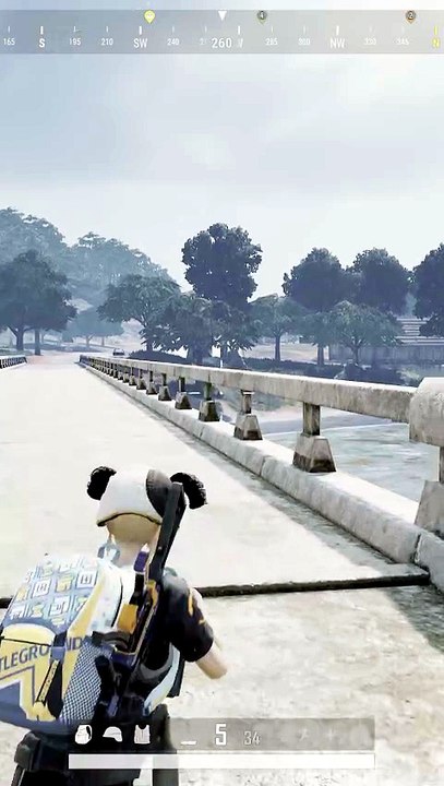 Can You Hit This Shot? 🎯 | PUBG PC Long Range Sniper Kill