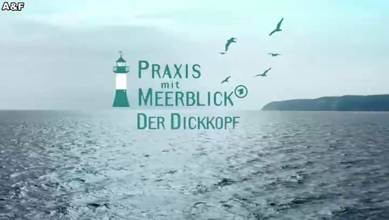 Praxis mit Meerblick -28- Der Dickkopf