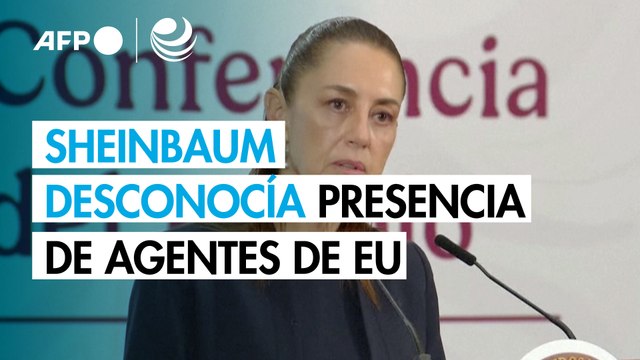 Sheinbaum desconocía presencia en México de agentes antidrogas de EEUU muertos en accidente
