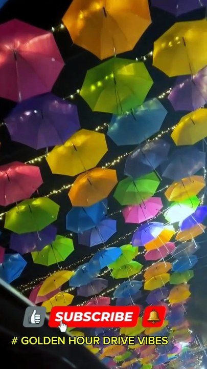 # SUNSET CITY CRUISE