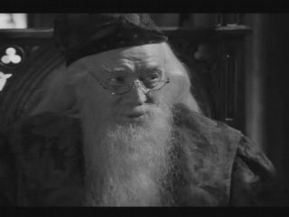 Dumbledore tribute