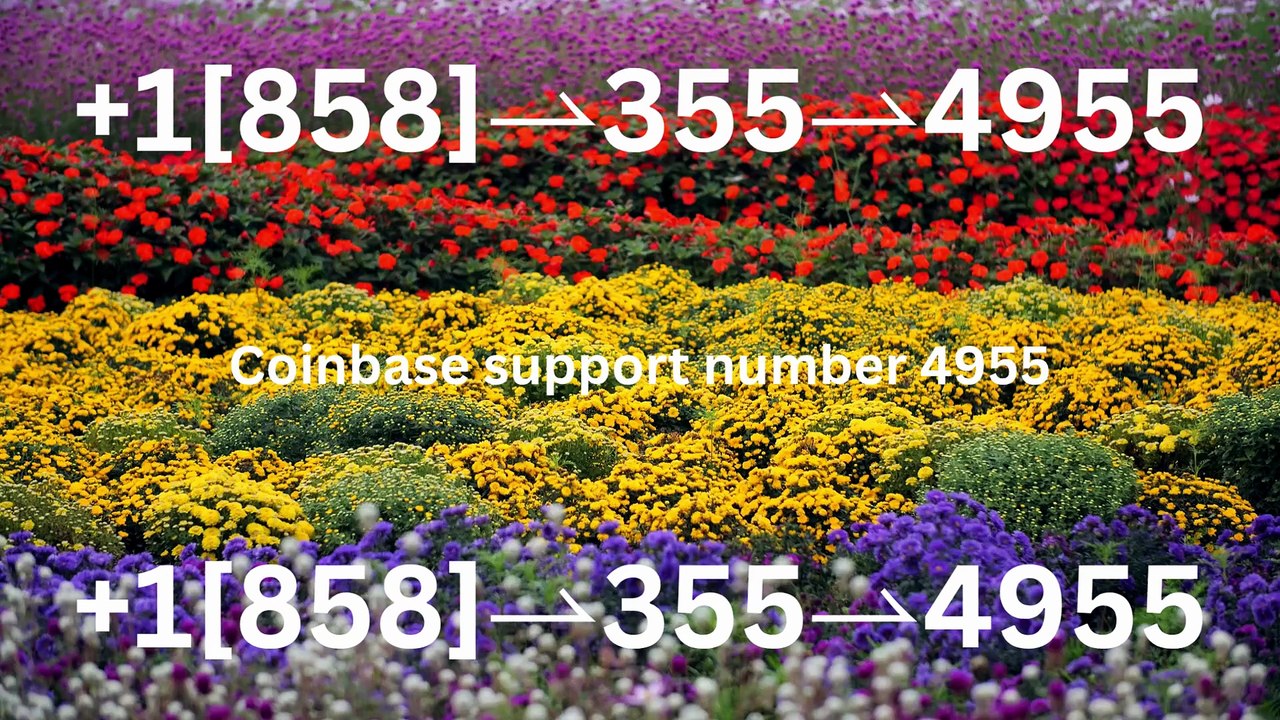 Complete List of Official Coinbase Customer Service Number, HELP-DESK Helpline 24/7 Care